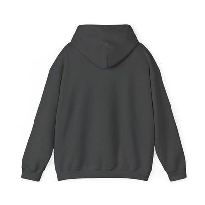 CleanSweep Racing Hoodie — Retro Metallic Logo Pullover